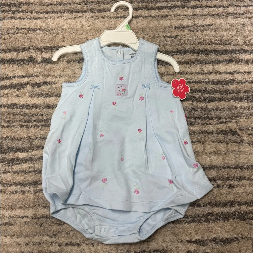 Carters Baby girl outfit